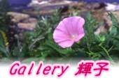 Gallery�P�q