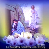 �킽���̎d���܂�_�� ���̏W153��