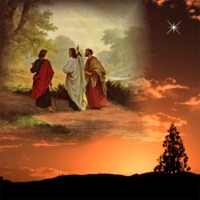 �K�������̕��O��u�� �V���� 40��