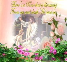 �Y�ނ�тƂ̂��߂� ����530��